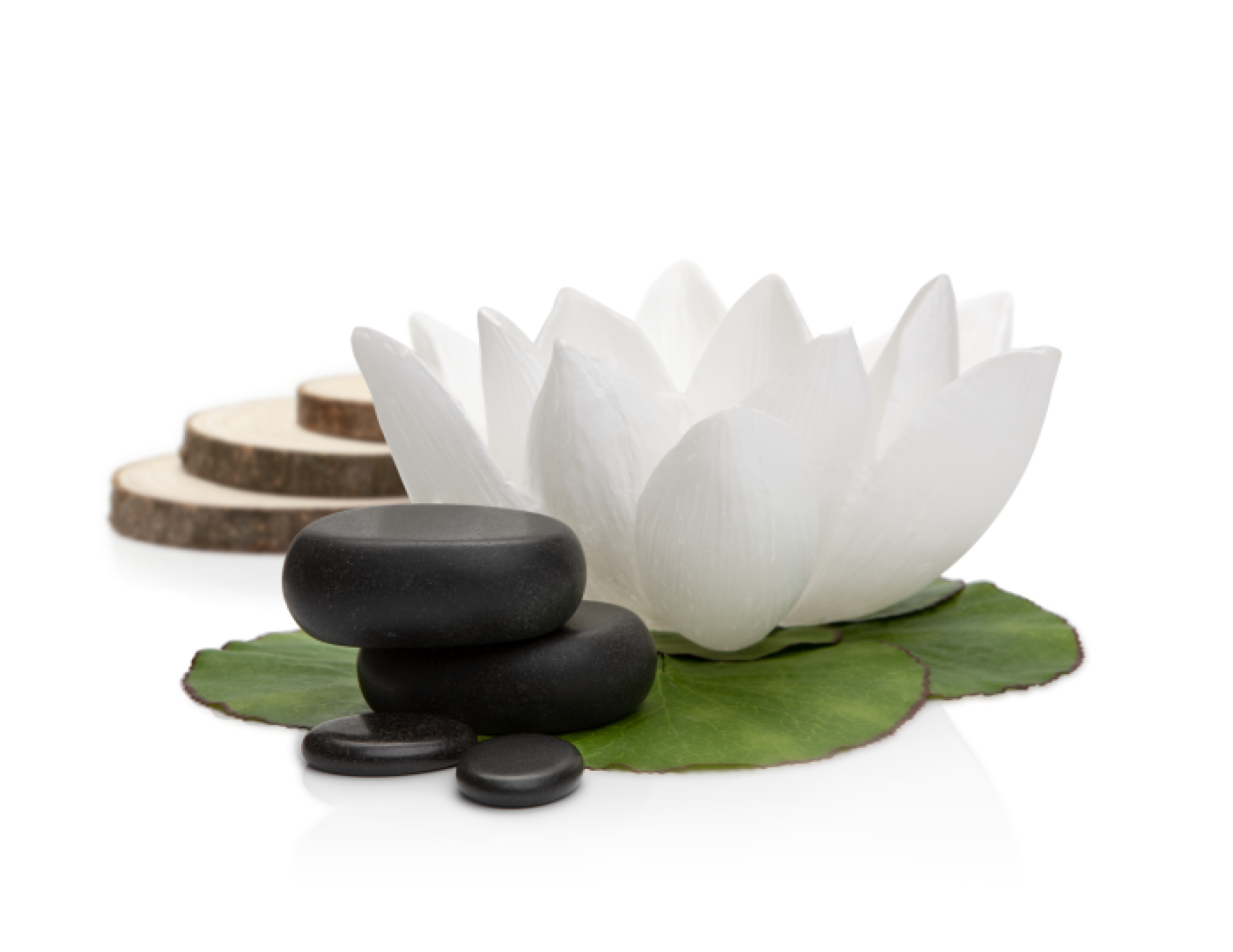 <p>Massaggio geotermico indicato per un totale rilassamento della mente e del corpo attraverso l'uso di pietre vulcaniche calde e oli essenziali aromatici. Un antico rituale che ci porta una moltitudine di benefici fisici e sensoriali.</p>
<p>Kit di 4 Pietre Vulcaniche & usb con video passo a passo della manualit&agrave;.</p>